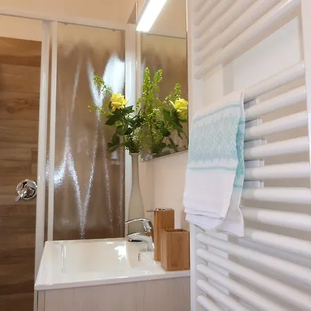 公寓 伊尔博尔戈公寓 *